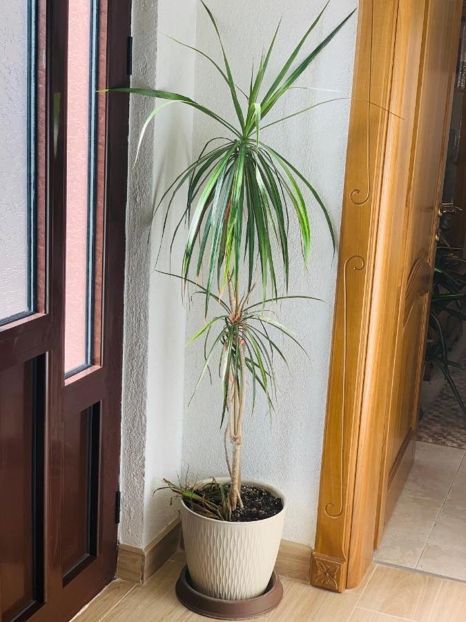 Ferienwohnung Gara 5 Kotor Exterior foto